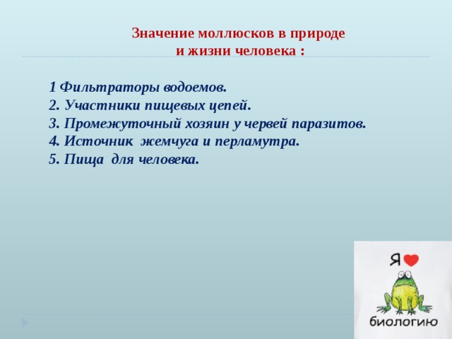 Значение рыб в природе 7 класс. Значение акул в природе и жизни человека. Значение рыб в природе и жизни человека. Значение рыб в природе и жизни человека 7 класс биология. Значение моллюсков в природе.