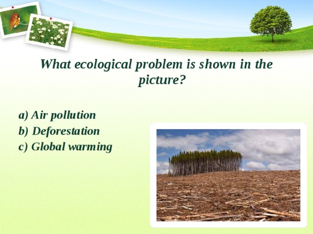 What ecological problem is shown in the picture?  a) Air pollution b) Deforestation c) Global warming 