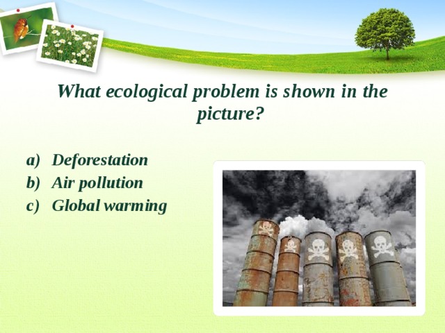 What ecological problem is shown in the picture?  Deforestation Air pollution Global warming  