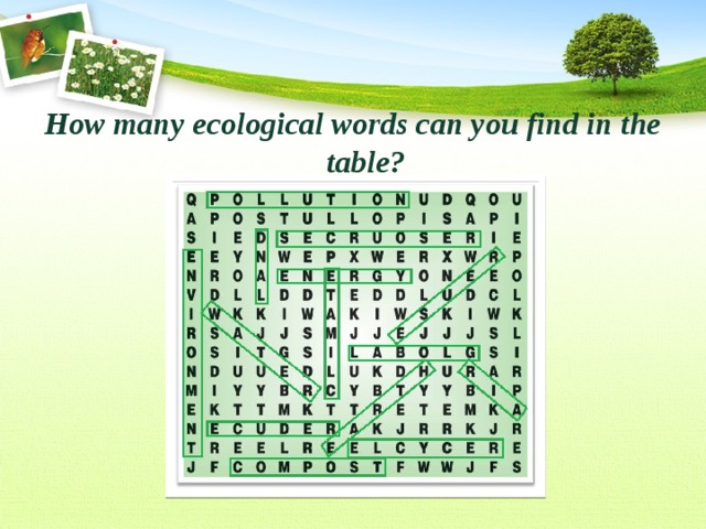 How many ecological words can you find in the table?  