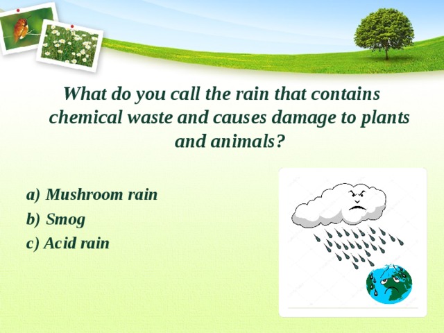 What do you call the rain that contains chemical waste and causes damage to plants and animals?  a) Mushroom rain b) Smog c) Acid rain 