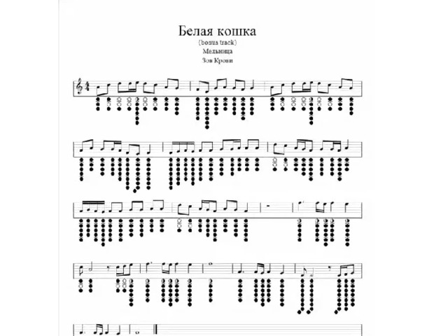 Человек и кошка аккорды