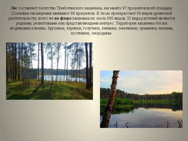 Тумботинский заказник карта