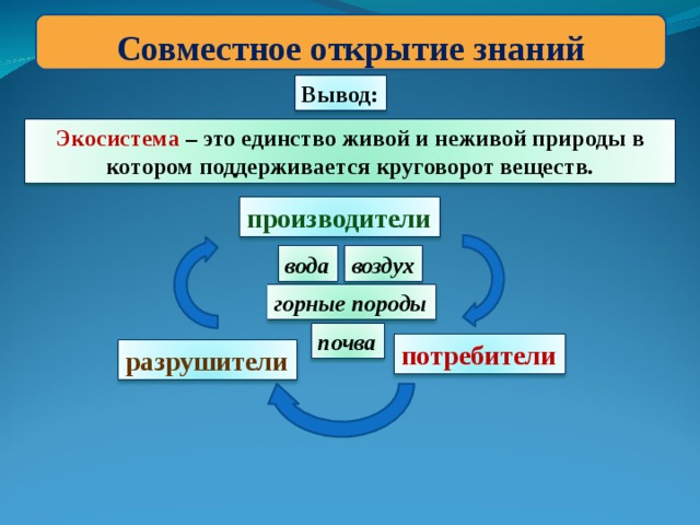 Единство живой и неживой природы презентация