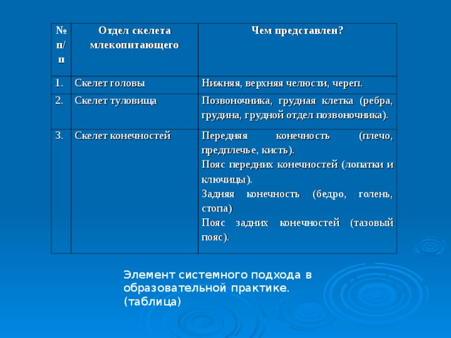 № п/п Отдел скелета млекопитающего 1. Чем представлен? Скелет головы 2. Нижняя, верхняя челюсти, череп. Скелет туловища 3. Позвоночника, грудная клетка (ребра, грудина, грудной отдел позвоночника). Скелет конечностей Передняя конечность (плечо, предплечье, кисть). Пояс передних конечностей (лопатки и ключицы). Задняя конечность (бедро, голень, стопа) Пояс задних конечностей (тазовый пояс). Элемент системного подхода в образовательной практике.(таблица)   