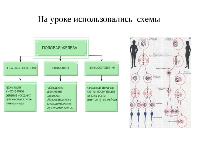 На уроке использовались схемы  