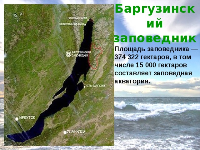 Баргузинский заповедник Площадь заповедника — 374 322 гектаров, в том числе 15 000 гектаров составляет заповедная акватория. 