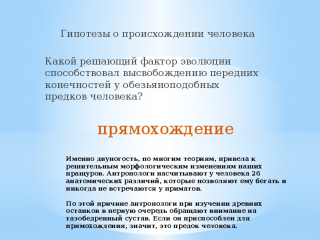  Гипотезы о происхождении человека Какой решающий фактор эволюции способствовал высвобождению передних конечностей у обезьяноподобных предков человека?  прямохождение Именно двуногость, по многим теориям, привела к решительным морфологическим изменениям наших пращуров. Антропологи насчитывают у человека 26 анатомических различий, которые позволяют ему бегать и никогда не встречаются у приматов.   По этой причине антропологи при изучении древних останков в первую очередь обращают внимание на тазобедренный сустав. Если он приспособлен для прямохождения, значит, это предок человека.   