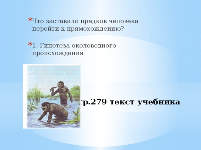 Что заставило предков человека перейти к прямохождению? 1. Гипотеза околоводного происхождения Стр.279 текст учебника   