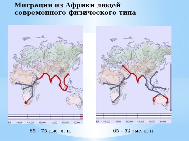 Миграция из Африки людей современного физического типа 85 – 75 тыс. л. н.  65 – 52 тыс. л. н. 