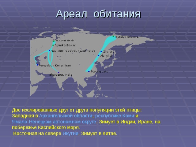 На каком материке живет стерха. Ореол обитания журавлей в России. Стерх ареал. Ареал обитания журавлей. Стерх ареал обитания на карте.