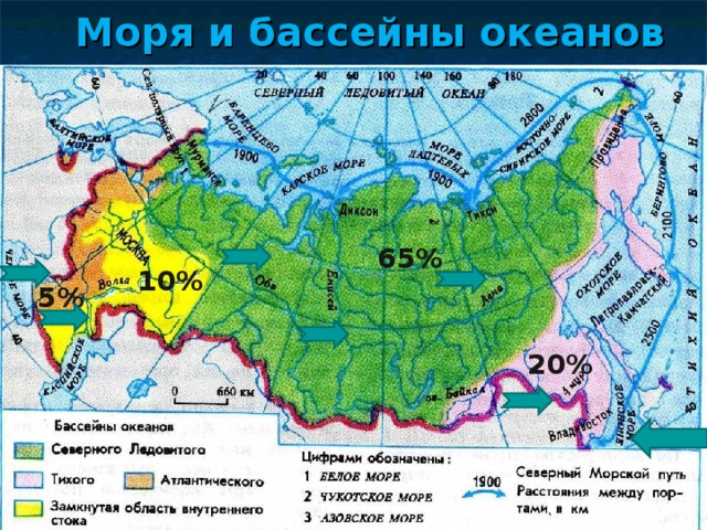 Моря и бассейны океанов 65% 10% 5% 20% 