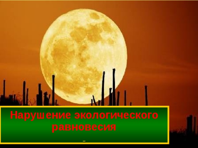 Нарушение экологического  равновесия   