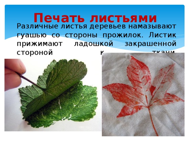 Печать листьями Различные листья деревьев намазывают гуашью со стороны прожилок. Листик прижимают ладошкой закрашенной стороной к ткани .   