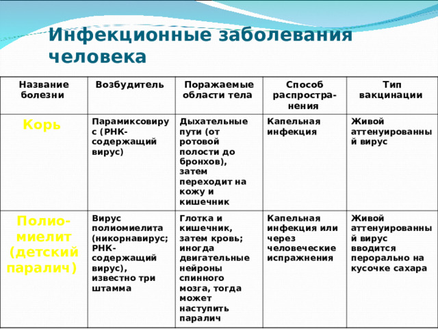 Инфекционные заболевания человека Название болезни Возбудитель Корь Поражаемые области тела Парамиксовирус (РНК-содержащий вирус) Полио-миелит (детский паралич) Способ распростра-нения Вирус полиомиелита (никорнавирус; РНК-содержащий вирус), известно три штамма Дыхательные пути (от ротовой полости до бронхов), затем переходит на кожу и кишечник Тип вакцинации Капельная инфекция Глотка и кишечник, затем кровь; иногда двигательные нейроны спинного мозга, тогда может наступить паралич Капельная инфекция или через человеческие испражнения Живой аттенуированный вирус Живой аттенуированный вирус вводится перорально на кусочке сахара 