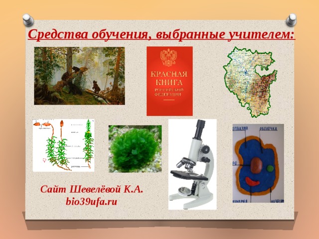 Средства обучения, выбранные учителем:  Сайт Шевелёвой К.А. bio39ufa.ru 