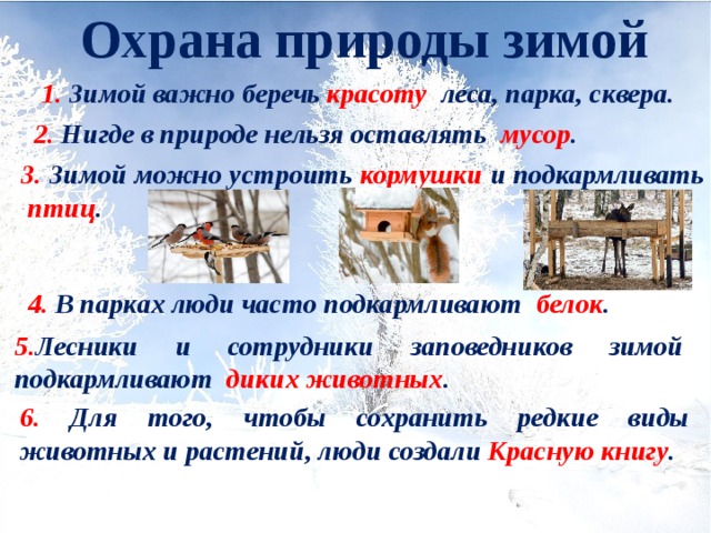 Охрана природы зимой презентация. Охрана природы зимой. Охрана природы зимой 2 класс. Охрана природы зимой 2 класс перспектива. Правила охраны природы зимой.