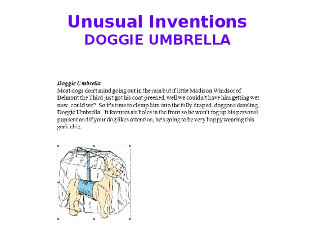 Unusual Inventions  DOGGIE UMBRELLA 