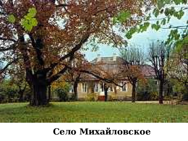 Село Михайловское 
