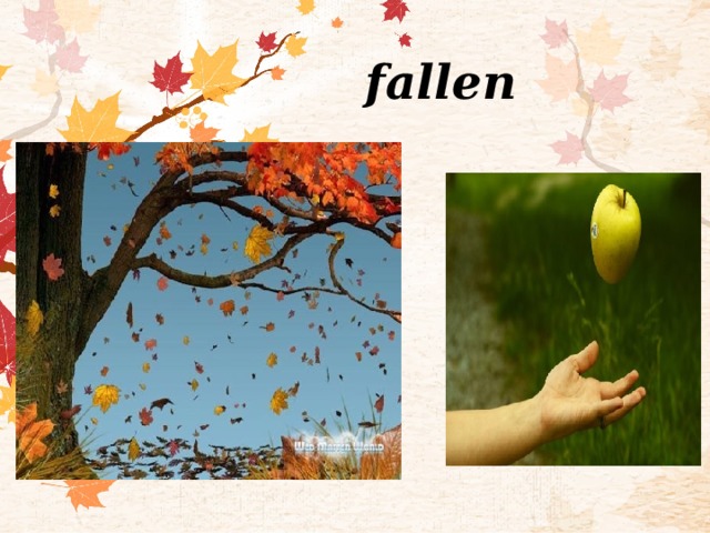 fallen 
