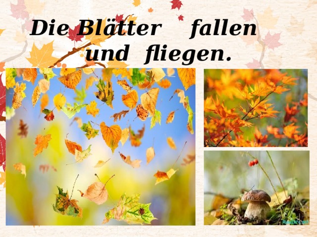 Die Blätter fallen und fliegen.   