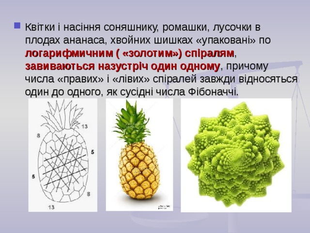 Квітки і насіння соняшнику, ромашки, лусочки в плодах ананаса, хвойних шишках «упаковані» по логарифмичним ( «золотим») спіралям , завиваються назустріч один одному , причому числа «правих» і «лівих» спіралей завжди відносяться один до одного, як сусідні числа Фібоначчі.  