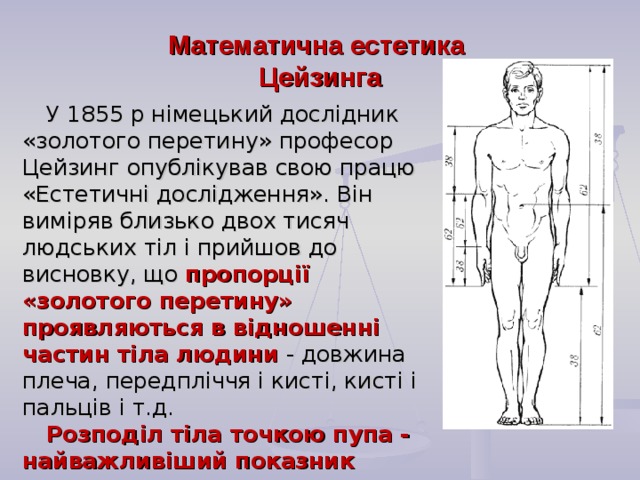 Математична естетика  Цейзинга У 1855 р німецький дослідник «золотого перетину» професор Цейзинг опублікував свою працю «Естетичні дослідження». Він виміряв близько двох тисяч людських тіл і прийшов до висновку, що пропорції «золотого перетину» проявляються в відношенні частин тіла людини - довжина плеча, передпліччя і кисті, кисті і пальців і т.д. Розподіл тіла точкою пупа - найважливіший показник «золотого перетину».   