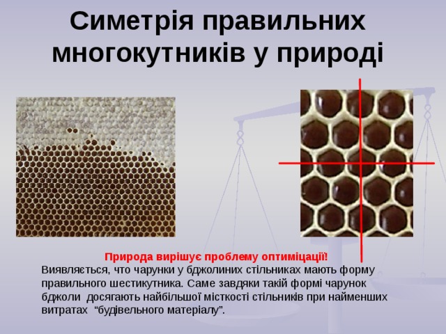 С и метрія правильних многокутн и ків у природі Природа в и рішує проблему опт и міцації!  В и являється, что чарунки у бджолини х стільн и ках мають форму правильного шестикутника. Саме з авдяк и такій форм і чарунок бдж о л и досягають найбільшої місткості стільн и ків при найменших витрат ах  “ будівельного матеріалу ”.  