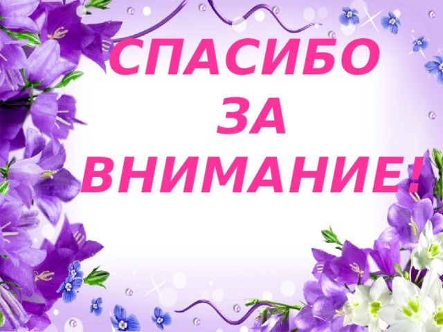 СПАСИБО  ЗА ВНИМАНИЕ! 