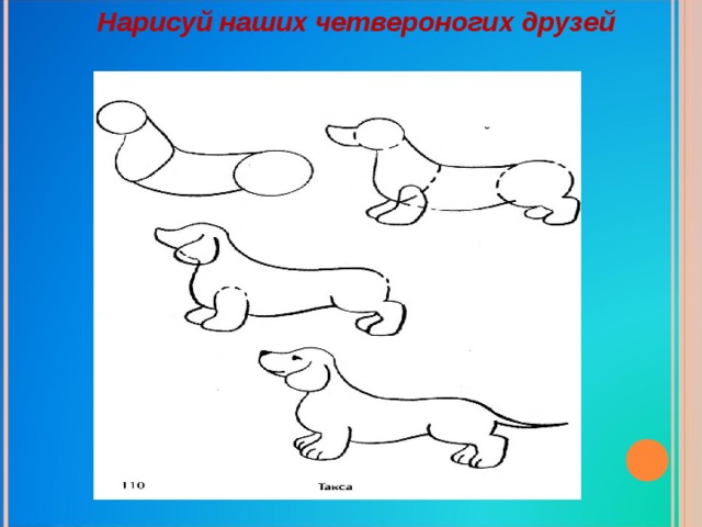 Рисуем собаку 2 класс презентация