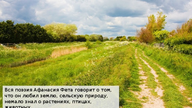 Вся поэзия Афанасия Фета говорит о том, что он любил землю, сельскую природу, немало знал о растениях, птицах, животных. 