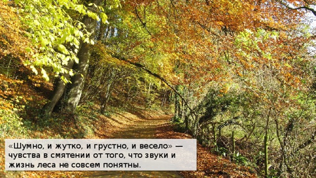 «Шумно, и жутко, и грустно, и весело» — чувства в смятении от того, что звуки и жизнь леса не совсем понятны. 