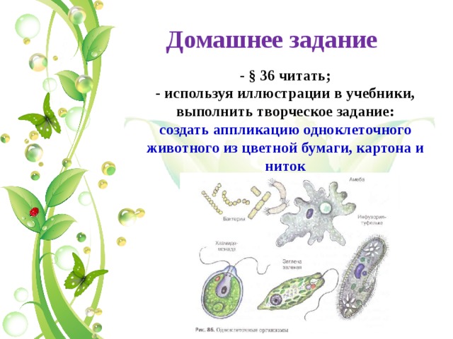 Домашнее задание - § 36 читать; - используя иллюстрации в учебники, выполнить творческое задание: создать аппликацию одноклеточного животного из цветной бумаги, картона и ниток 