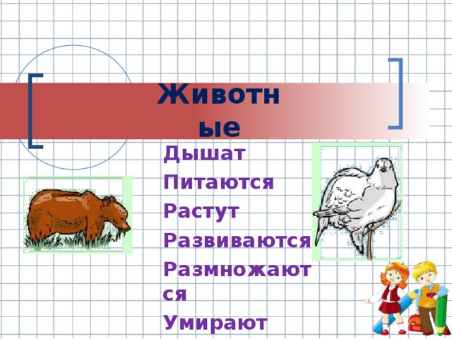 Название животного по признаку. Животные дышат размножаются. Животные питаются дышат. Животные питаются дышат размножаются. Признаки зверей 2 класс.