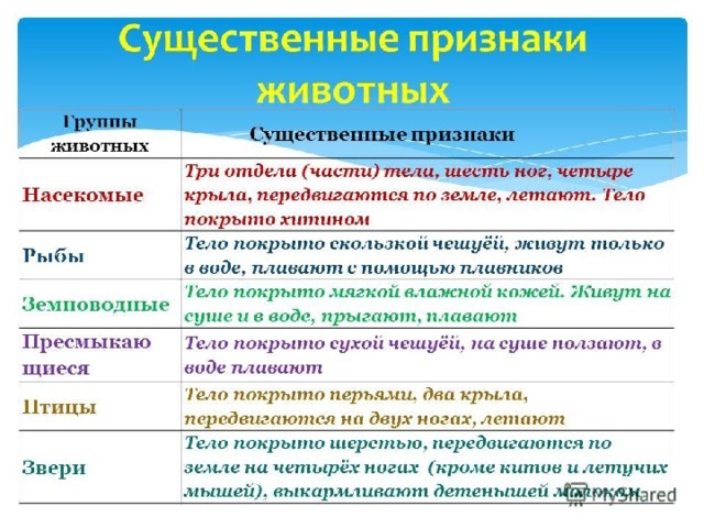 Признаки животных