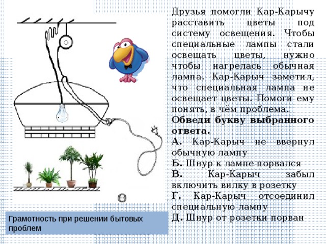 С какими схемами вам приходилось иметь дело на уроках математики русского языка естествознания