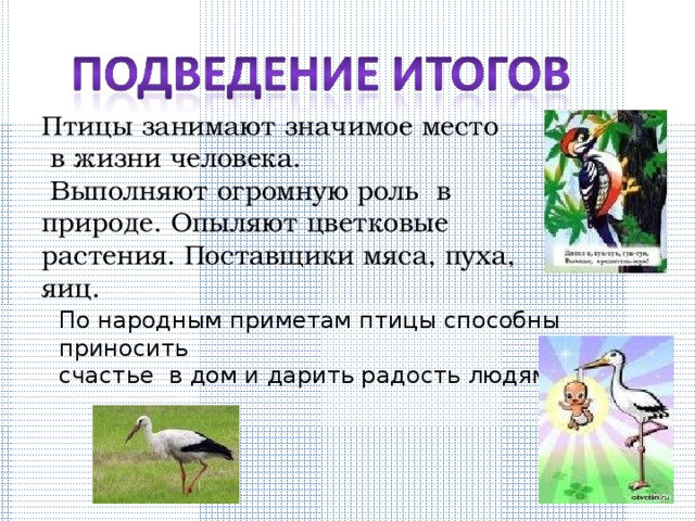 Птицы занимают значимое место  в жизни человека.  Выполняют огромную роль в природе. Опыляют цветковые растения. Поставщики мяса, пуха, яиц. По народным приметам птицы способны приносить счастье в дом и дарить радость людям. 