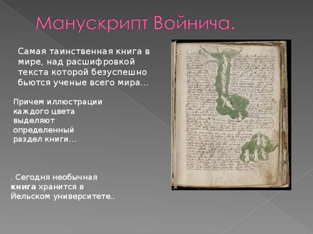 Самая таинственная книга в мире, над расшифровкой текста которой безуспешно бьются ученые всего мира... Причем иллюстрации каждого цвета выделяют определенный раздел книги... . Сегодня необычная книга хранится в Йельском университете..  