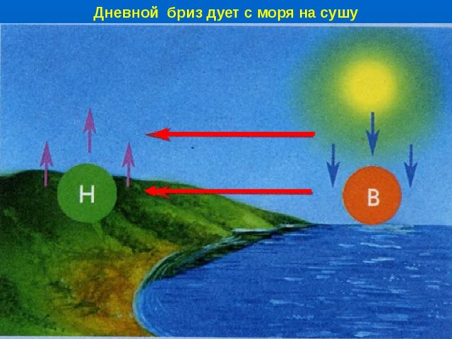 Дневной бриз дует с моря на сушу  