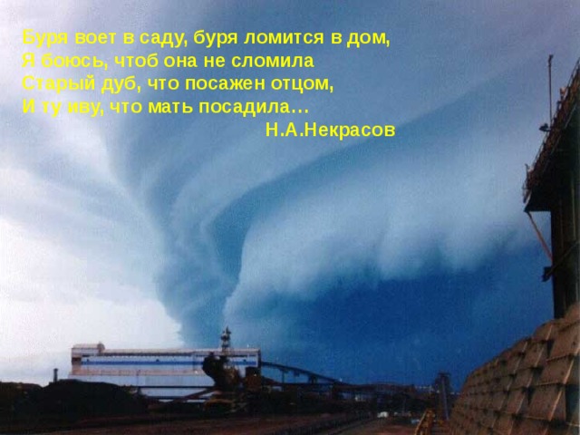 Буря воет в саду, буря ломится в дом, Я боюсь, чтоб она не сломила Старый дуб, что посажен отцом, И ту иву, что мать посадила…  Н.А.Некрасов  