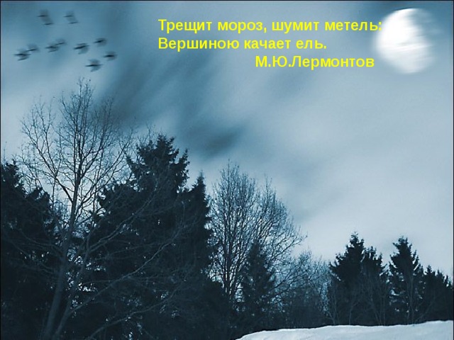 Трещит мороз, шумит метель: Вершиною качает ель.  М.Ю.Лермонтов  
