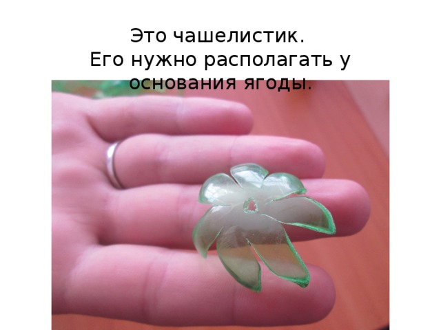 Это чашелистик. Его нужно располагать у основания ягоды. 