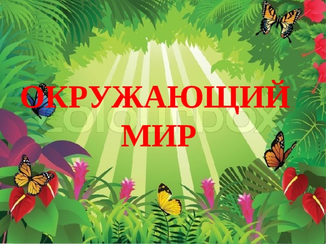 ОКРУЖАЮЩИЙ МИР  