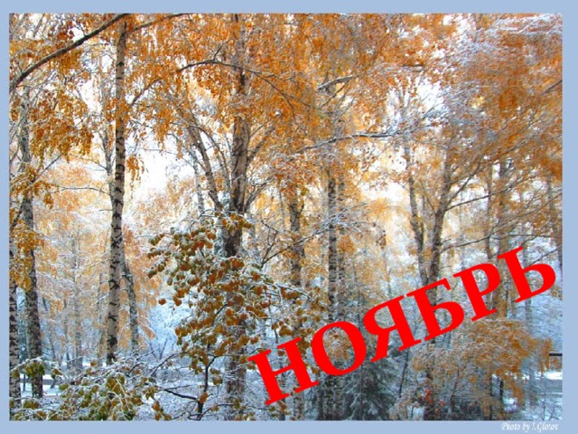 НОЯБРЬ 