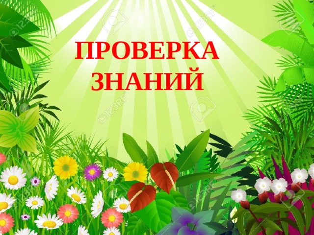 ПРОВЕРКА ЗНАНИЙ 