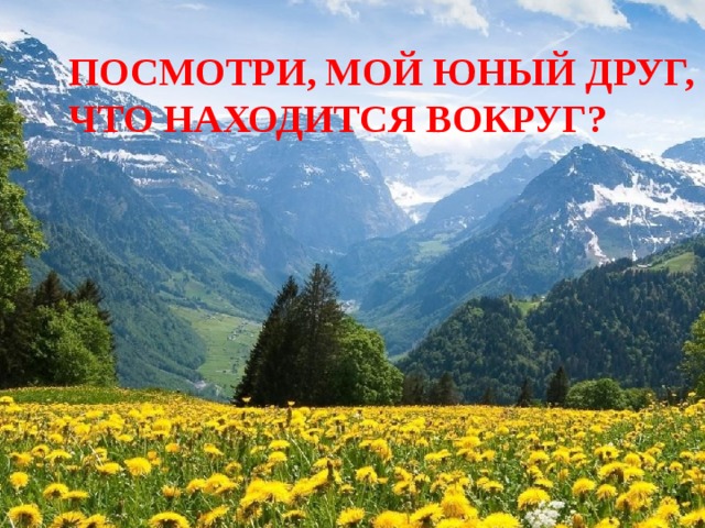 ПОСМОТРИ, МОЙ ЮНЫЙ ДРУГ, ЧТО НАХОДИТСЯ ВОКРУГ? 