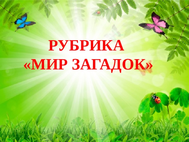 РУБРИКА  «МИР ЗАГАДОК» 