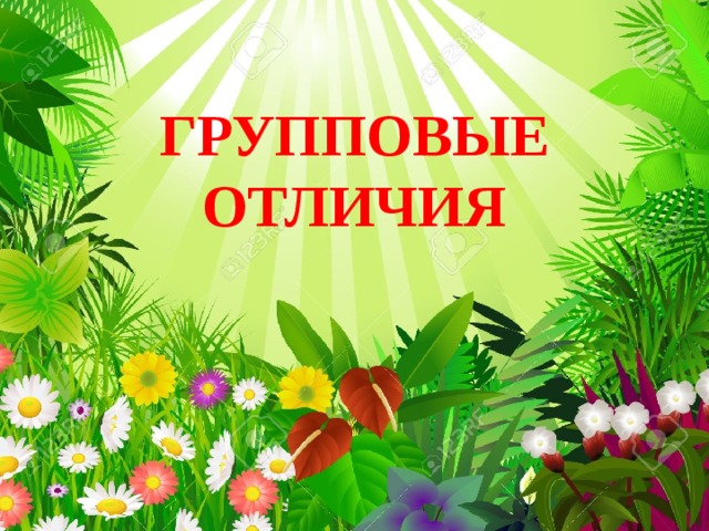 ГРУППОВЫЕ ОТЛИЧИЯ 