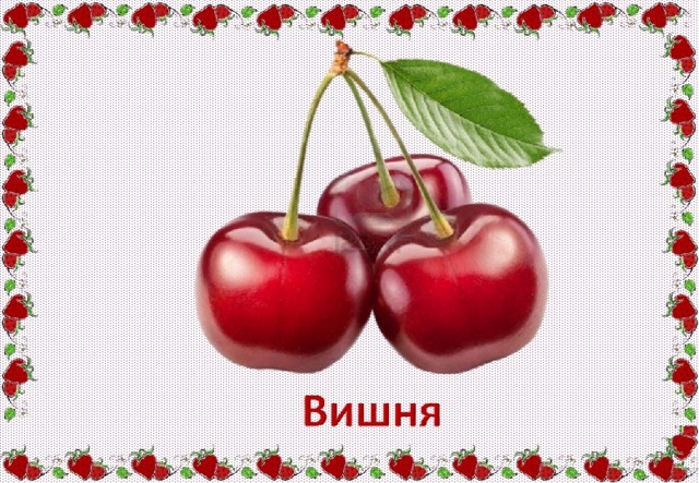 Cherry english. Вишня для детей. Вишня для дошкольников. Картина вишня для детей. Изображение вишни для детей.