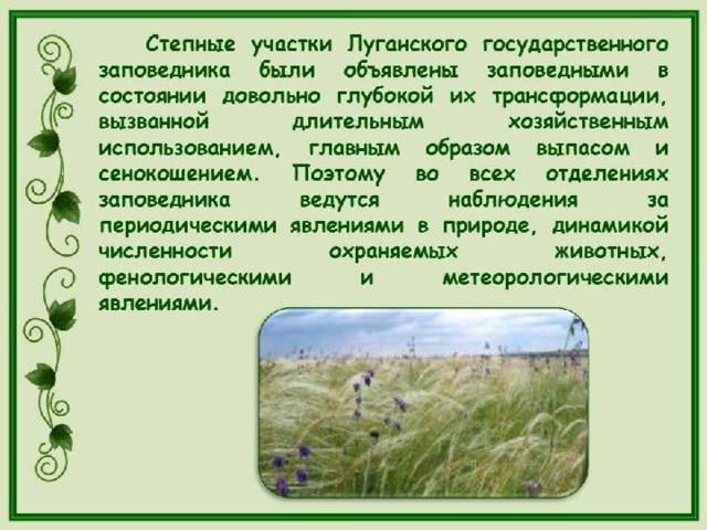 Реликтовое животное в луганском государственном заповеднике. Животные Луганщины занесенные в красную книгу. Красная книга Луганщины. Краснокнижные растения Луганщины. Растения Луганщины занесенные в красную книгу.